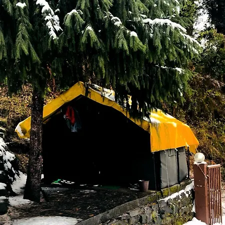 All Night Camping Manali Exterior photo
