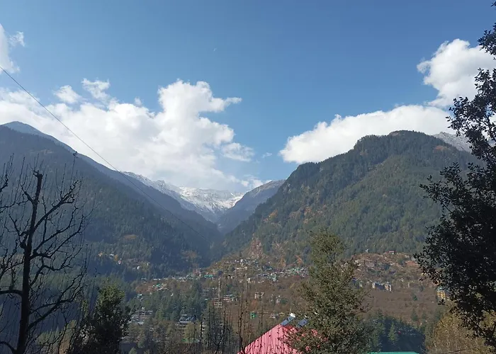 All Night Camping Manali