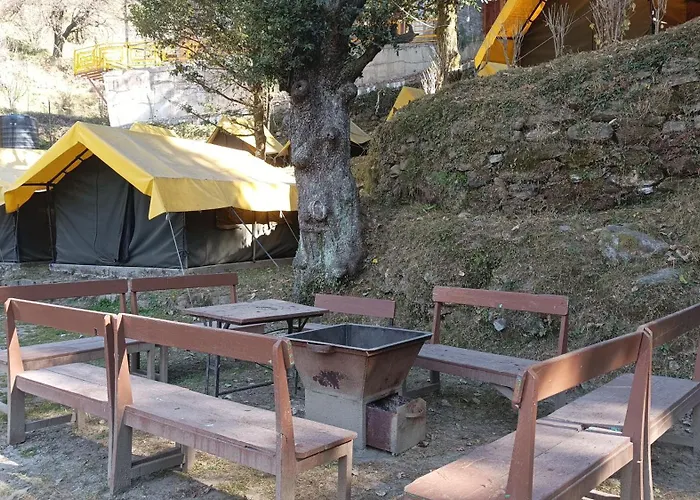 All Night Camping Manali