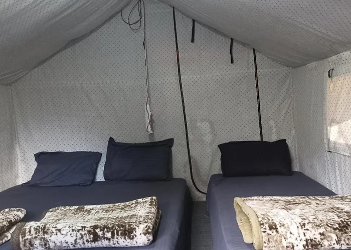 All Night Camping Manali