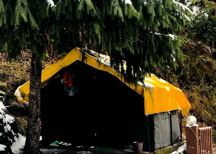 All Night Camping Manali