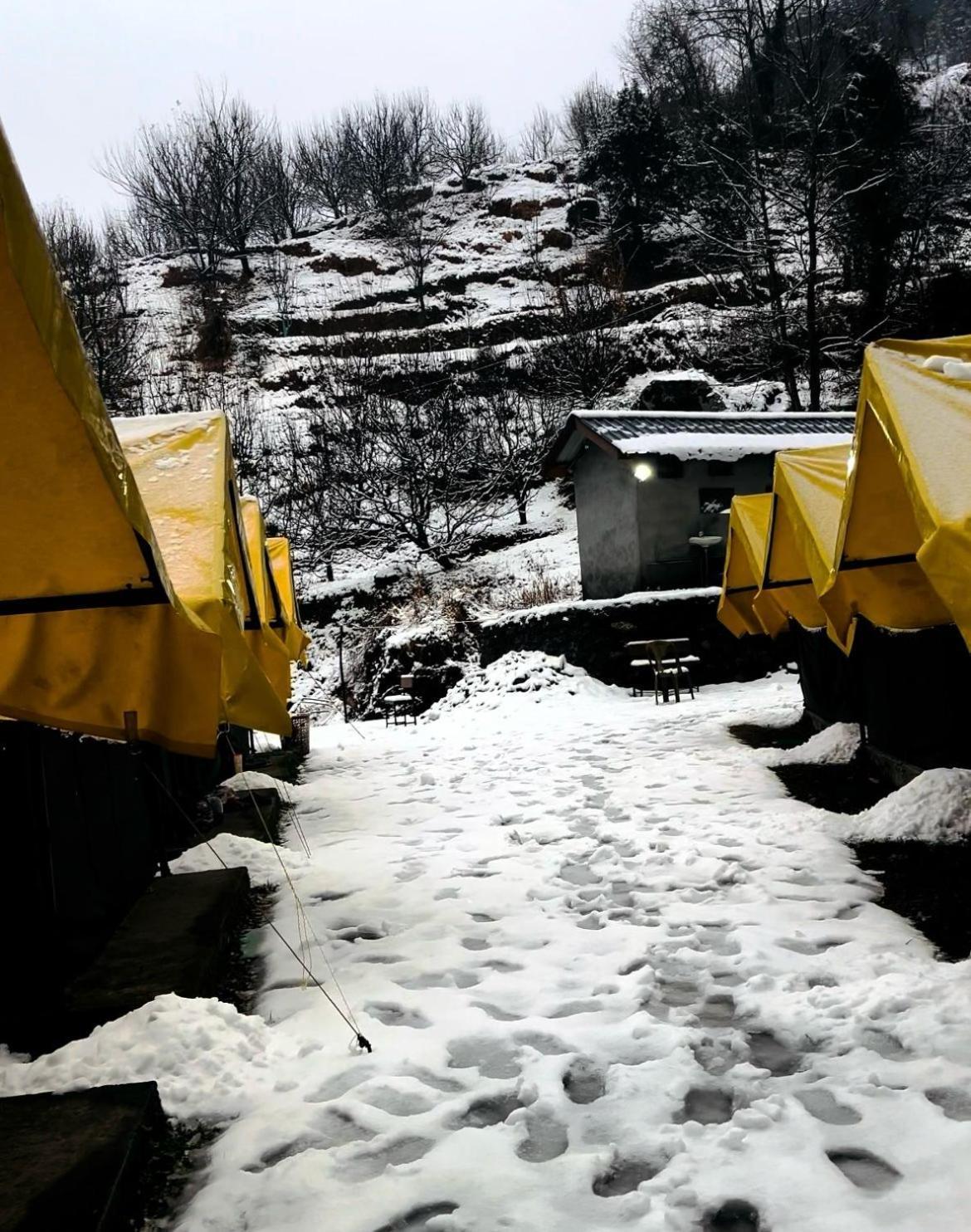 Night Campsite Manali (Himachal Pradesh)
